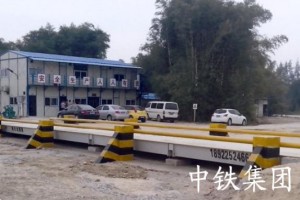 FF(tun)ģK(yng)(xing)Ŀ